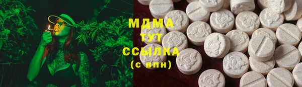 гашик Горняк