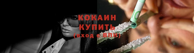 гашик Горняк