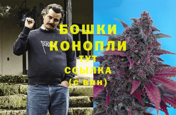 Альфа ПВП Горнозаводск