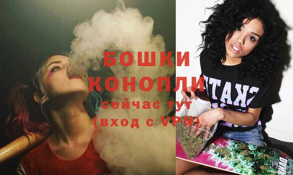Альфа ПВП Горнозаводск