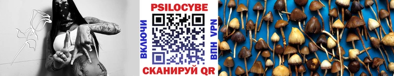 Псилоцибиновые грибы мицелий  Купить где  Нолинск 